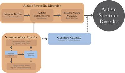 A Unifying Theory for Autism: The Pathogenetic Triad as a Theoretical Framework